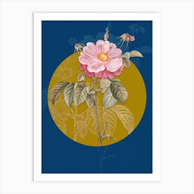 Vintage Botanical Speckled Provins Rose on Circle Yellow on Blue Art Print