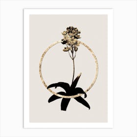 Gold Ring Sun Star Glitter Botanical Illustration Art Print
