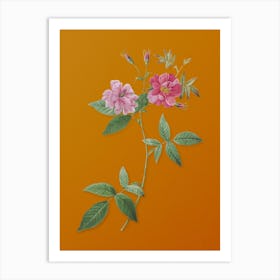 Vintage Hudson Rosehip Botanical on Sunset Orange n.0119 Art Print