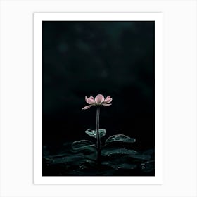 Lotus Flower 43 Art Print