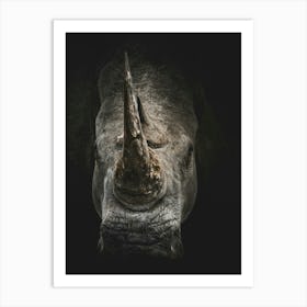 Rhinoceros Art Print