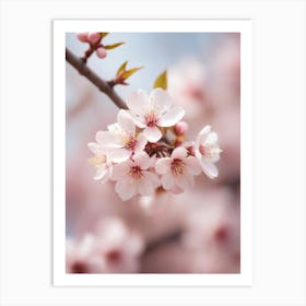 Cherry Blossoms 32 Art Print