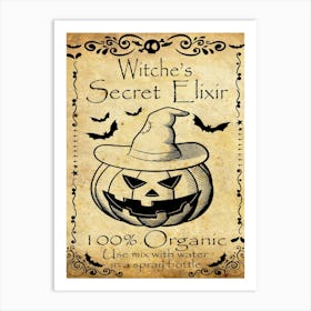 Witch Secret Elixir Art Print