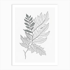 Curry Leaf Herb William Morris Inspired Line Drawing 1 Art Print