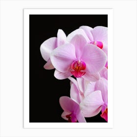 Blooming Orchid Close up // Nature & Flower Photography Art Print