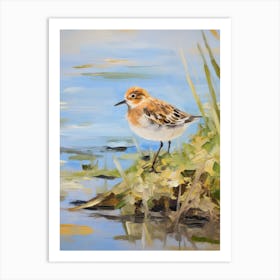 Bird Painting Dunlin 3 Art Print