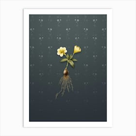 Vintage Cape Tulip b Botanical on Slate Gray Pattern n.0002 Art Print