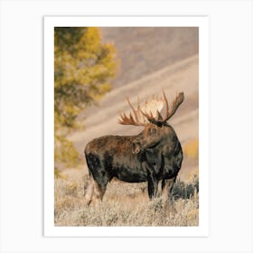 Autumn Moose Scenery Art Print