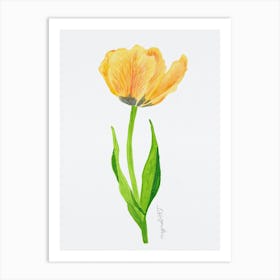 Tulip9 Art Print