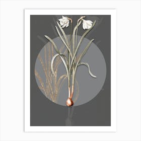 Vintage Botanical Narcissus Candidissimus on Circle Gray on Gray n.0110 Art Print