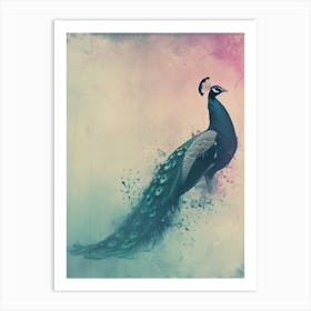 Pink & Turquoise Peacock Cyanotype Inspired Art Print