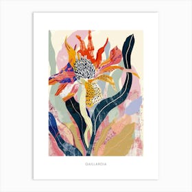 Colourful Flower Illustration Poster Gaillardia 2 Art Print
