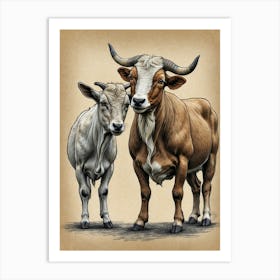 Bull And Calf Art Print