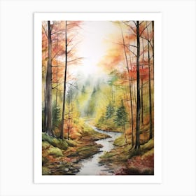 Autumn Forest Landscape The Bavarian Forest Germany Art Print