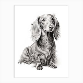 Dachshund Dog, Line Drawing 2 Art Print