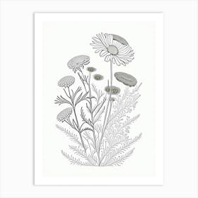 Chamomile Herb William Morris Inspired Line Drawing 2 Art Print