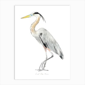 Heron Bird Art Print