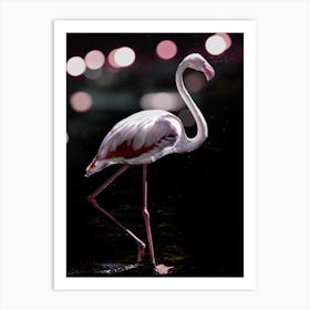 Dancing Flamingo  Art Print