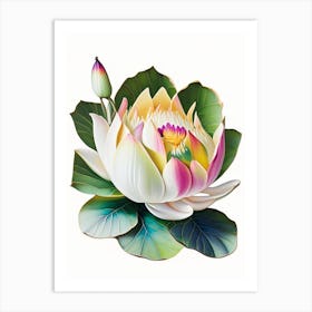 Early Lotus Decoupage 3 Art Print