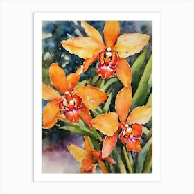 Epidendrum Orchids Water Colour 1 Art Print