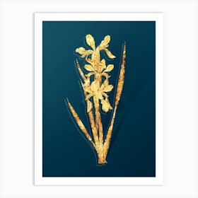 Vintage Yellow Banded Iris Botanical in Gold on Teal Blue Art Print