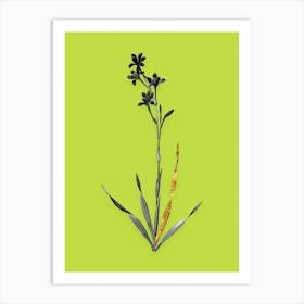 Vintage Bugle Lily Black and White Gold Leaf Floral Art on Chartreuse n.0002 Art Print