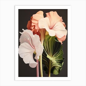 Flower Illustration Amaryllis 2 Art Print