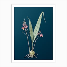 Vintage Pine Pink Botanical Art on Teal Blue n.0590 Art Print