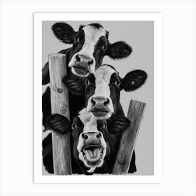 Cows On A Fence Art Print