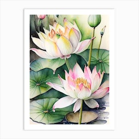 Lotus Flowers In Park Watercolour Ink Pencil 5 Art Print