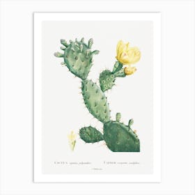 Aloe Opuntia Polyanthos Image From Histoire Des Plantes Grasses, Pierre Joseph Redoute Art Print