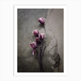 The Tulip Art Print