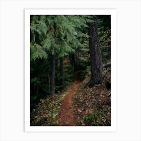 Fall Trail Art Print