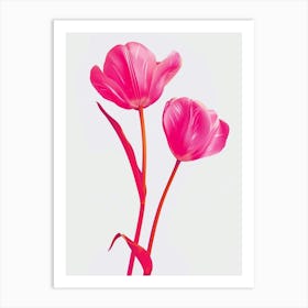 Hot Pink Tulip 4 Art Print