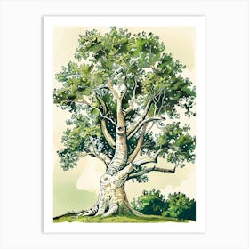 Alder Tree Storybook Illustration 1 Art Print