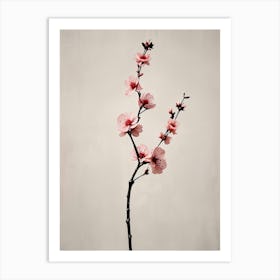 Cherry Blossoms 2 Art Print