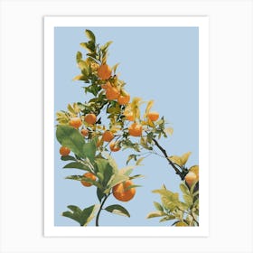 Summer Orange Tree Illustration Art Print