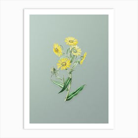 Vintage Madia Flower Botanical Art on Mint Green n.0816 Art Print