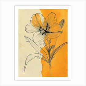 Lily illustration Art Print