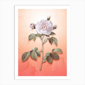 Rosa Alba Vintage Botanical in Peach Fuzz Seigaiha Wave Pattern n.0069 Art Print