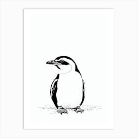 Galapagos Penguin Black & White Drawing Art Print