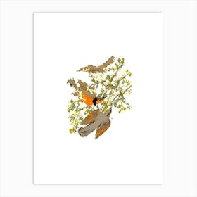 Robins On A Branch Art Print