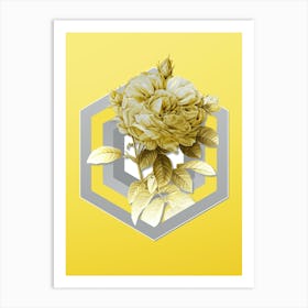 Botanical Giant French Rose in Gray and Yellow Gradient n.256 Art Print