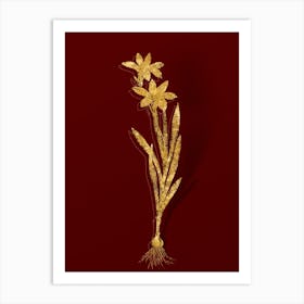 Vintage Ixia Liliago Botanical in Gold on Red n.0569 Art Print