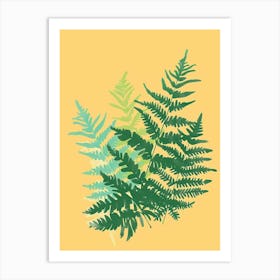 Boston Fern Plant Minimalist Illustration 7 Art Print