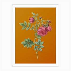 Vintage Turnip Roses Botanical on Sunset Orange n.0689 Art Print