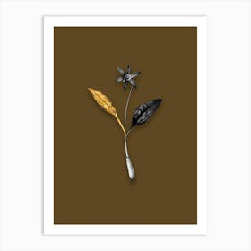 Vintage Erythronium Black and White Gold Leaf Floral Art on Coffee Brown n.0182 Art Print