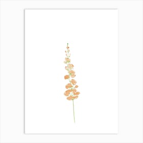 Wild flower 1 Art Print