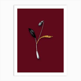 Vintage Erythronium Black and White Gold Leaf Floral Art on Burgundy Red Art Print