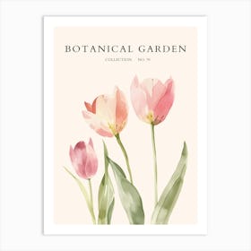 Botanical Garden 47 Art Print